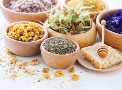 phytothérapie à La Chapelle-Saint-Ursin près de Bourges dans le Cher 18